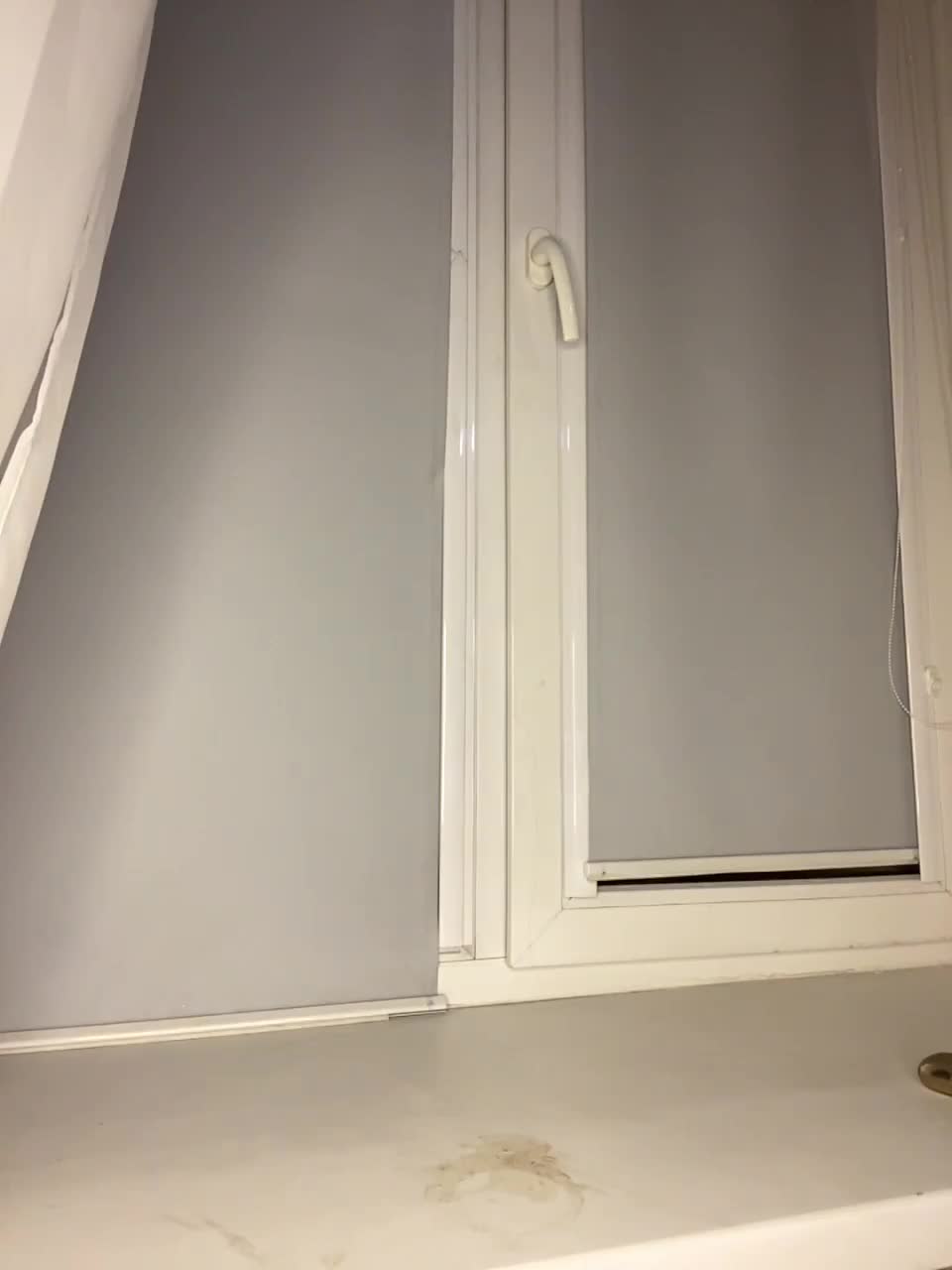 View or download file ladyynika on 2023-01-07 from bongacams