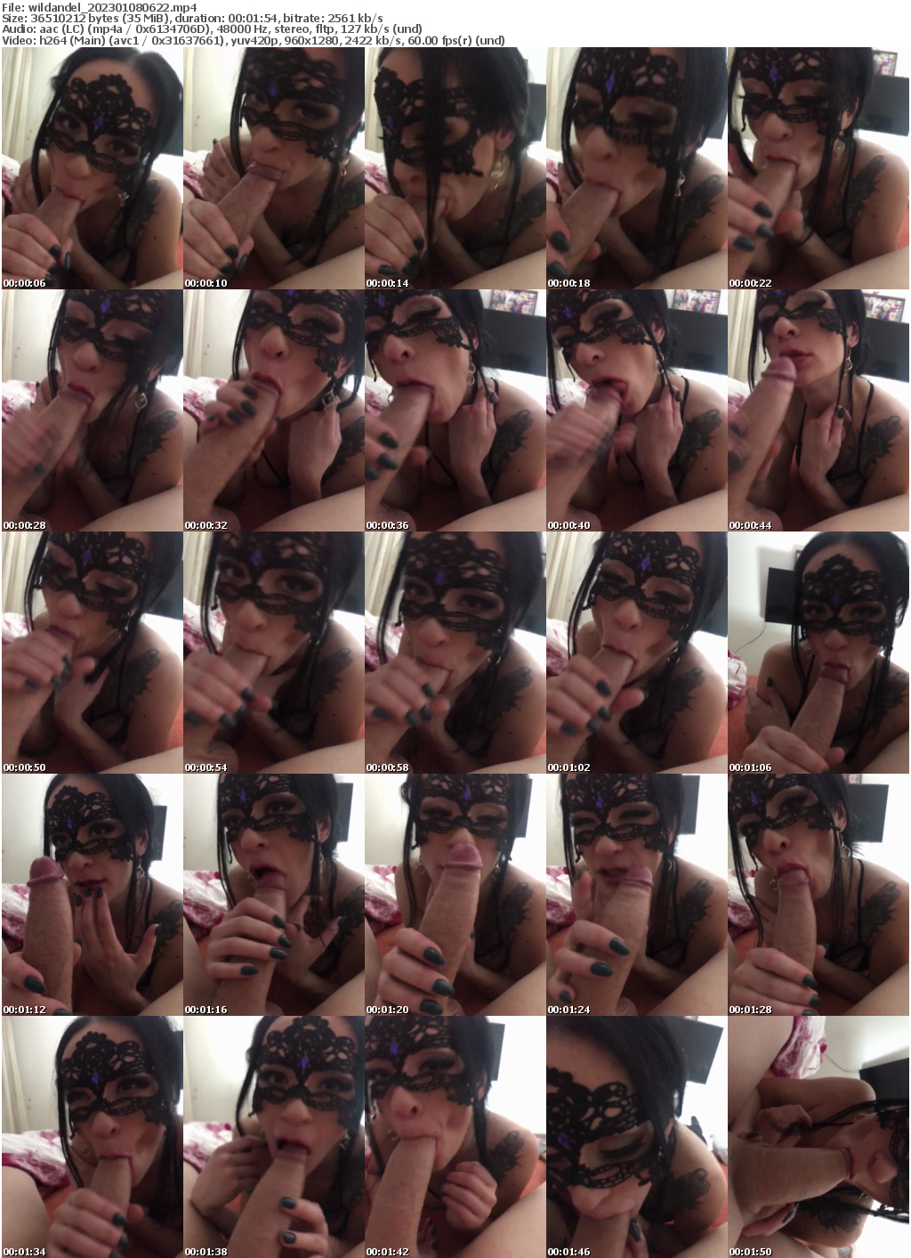 Preview thumb from wildandel on 2023-01-08 @ bongacams