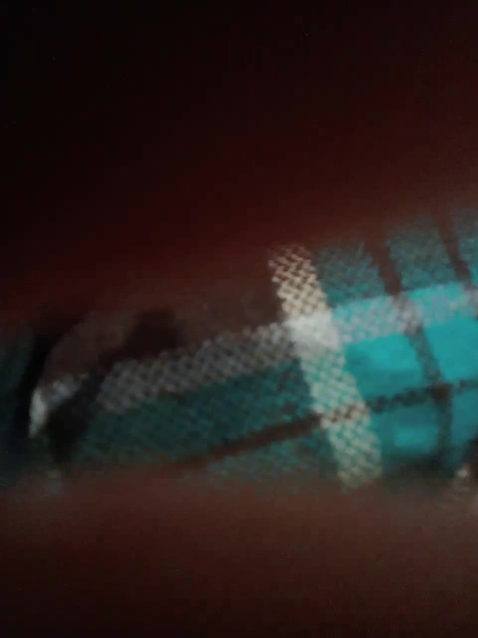 View or download file hystericzlove on 2023-01-09 from bongacams