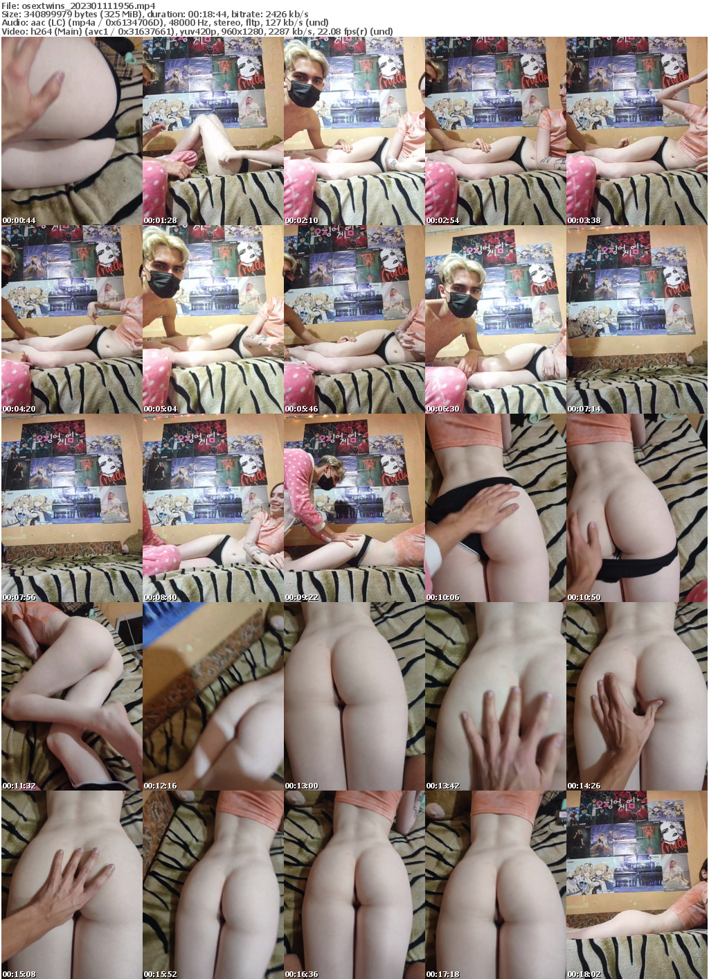 Preview thumb from osextwins on 2023-01-11 @ bongacams