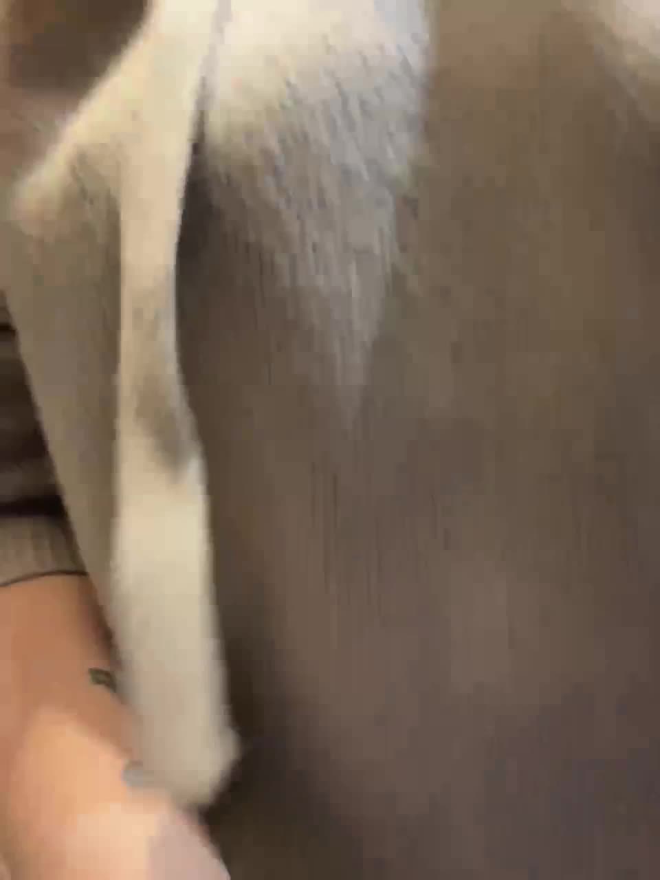 View or download file realityshow on 2023-01-11 from bongacams