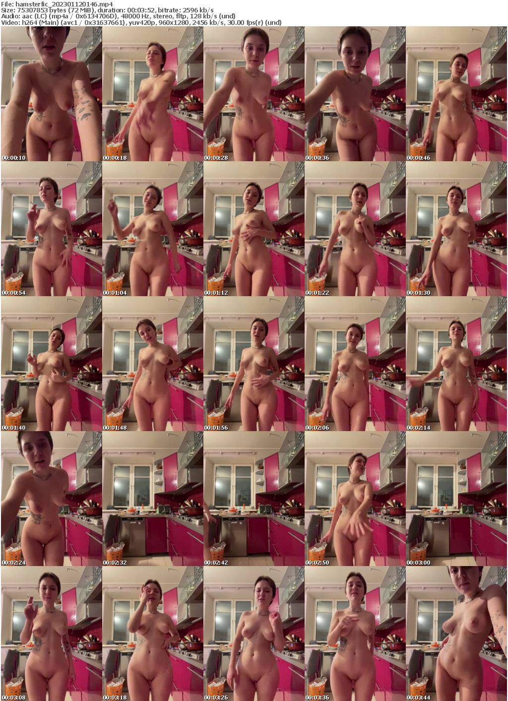 Preview thumb from hamsterfic on 2023-01-12 @ bongacams