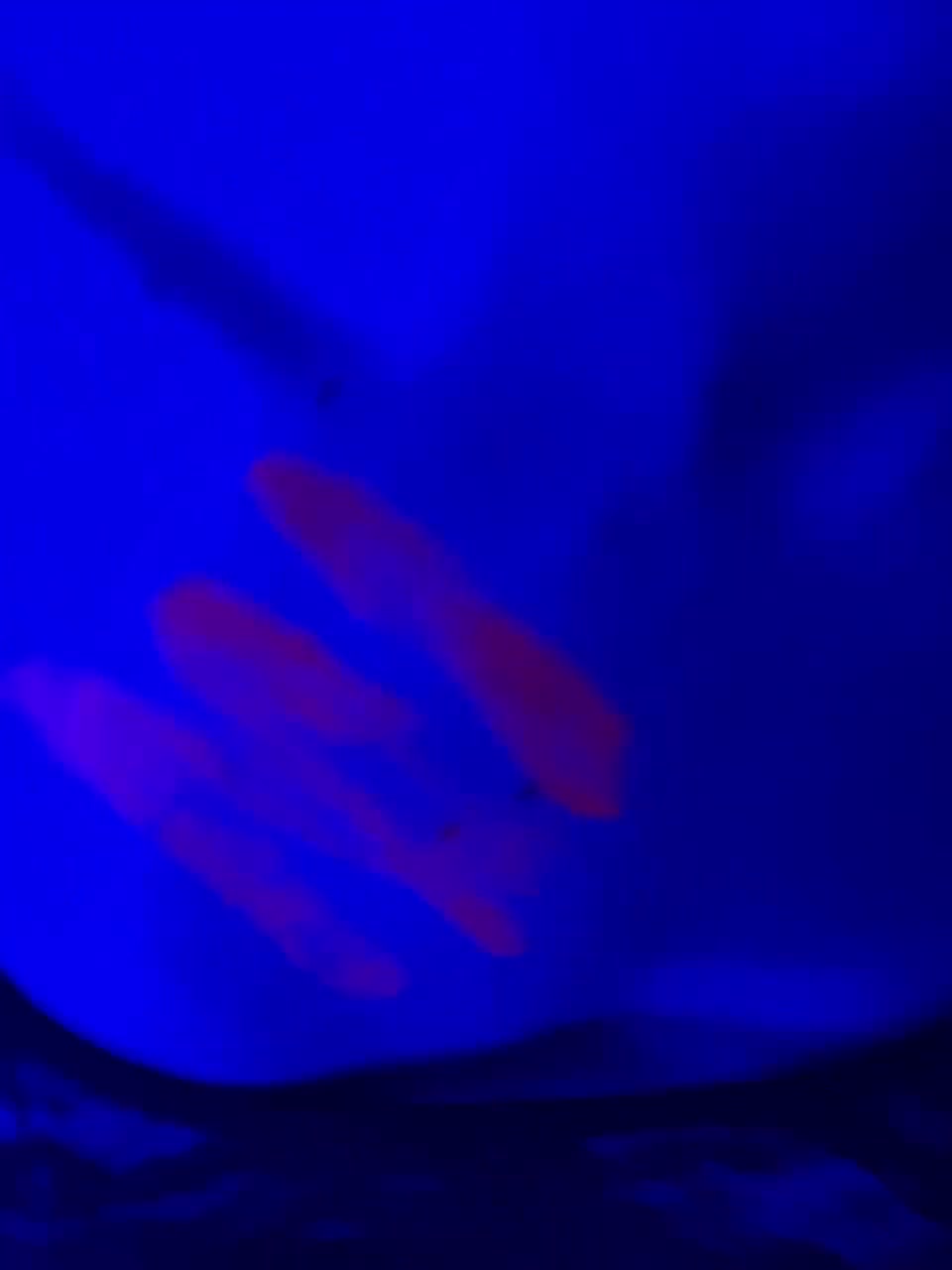 View or download file 163volga on 2023-01-14 from bongacams