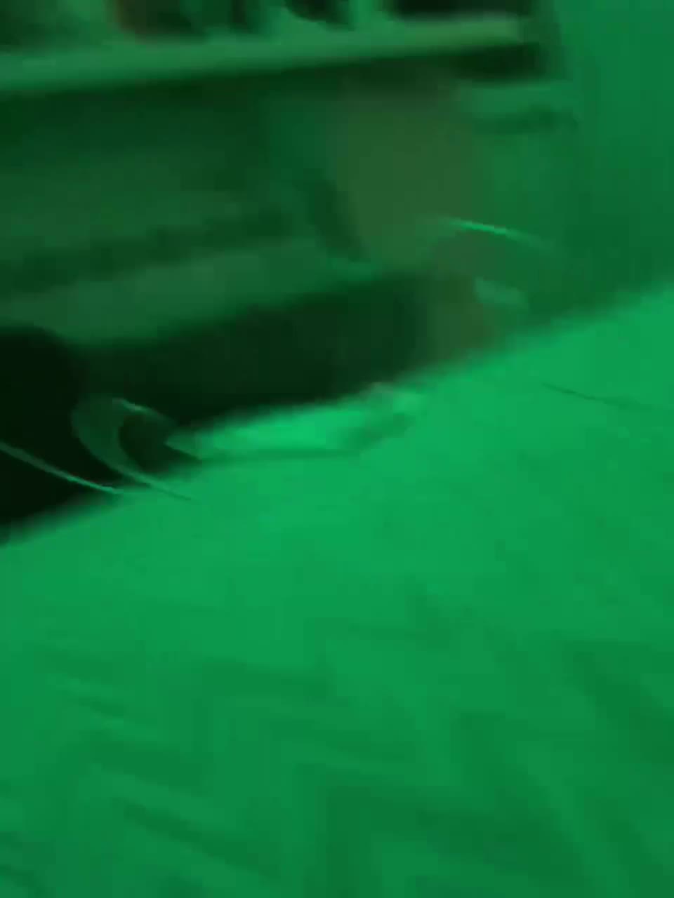 View or download file babyboy1201 on 2023-01-14 from bongacams