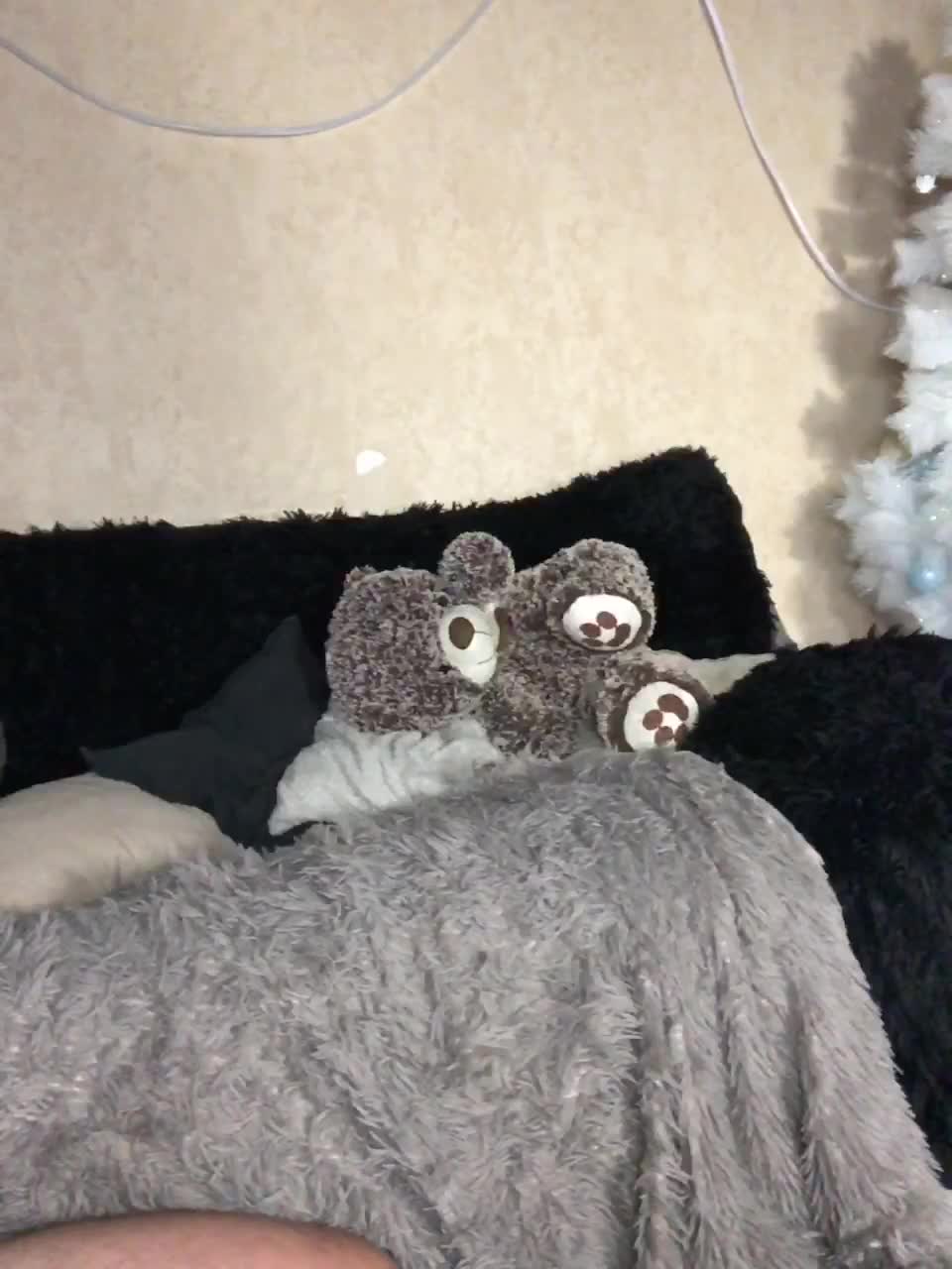 View or download file bolt_gadget on 2023-01-14 from bongacams