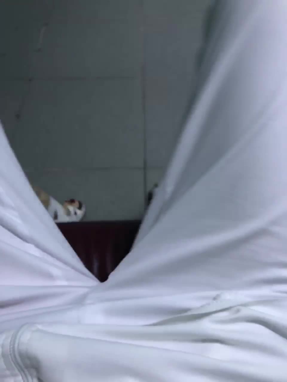 View or download file eror_101 on 2023-01-14 from bongacams