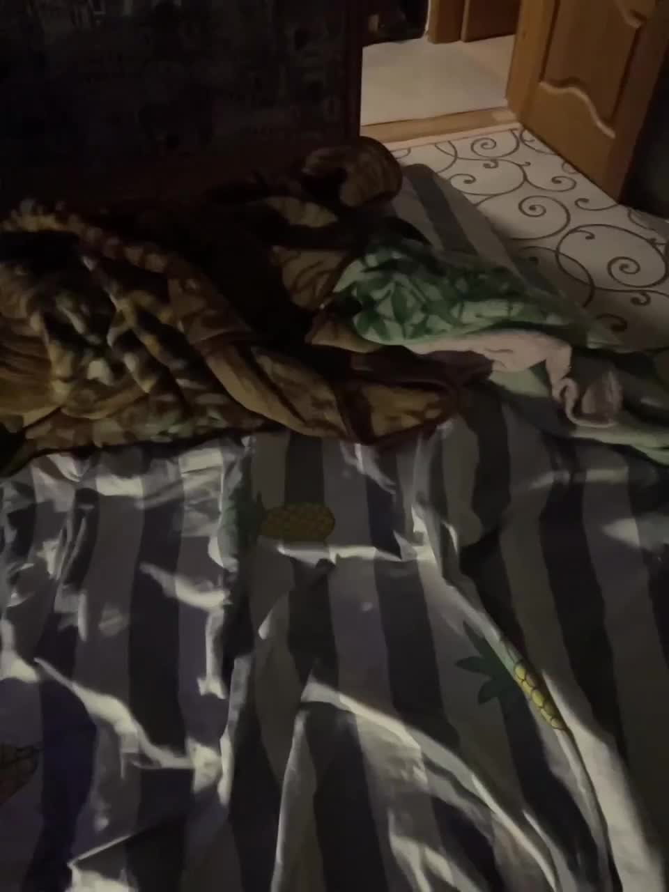 View or download file sheykera on 2023-01-15 from bongacams