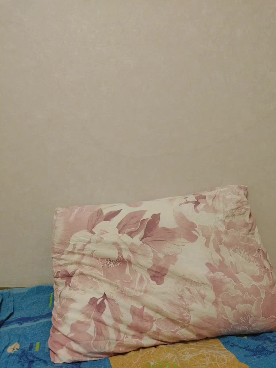 View or download file sweet_cat on 2023-01-15 from bongacams