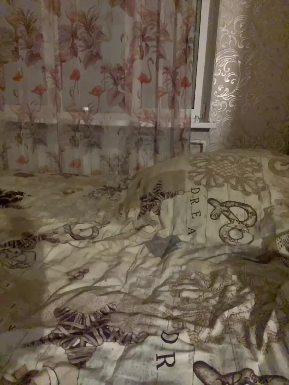 View or download file tatimur on 2023-01-15 from bongacams