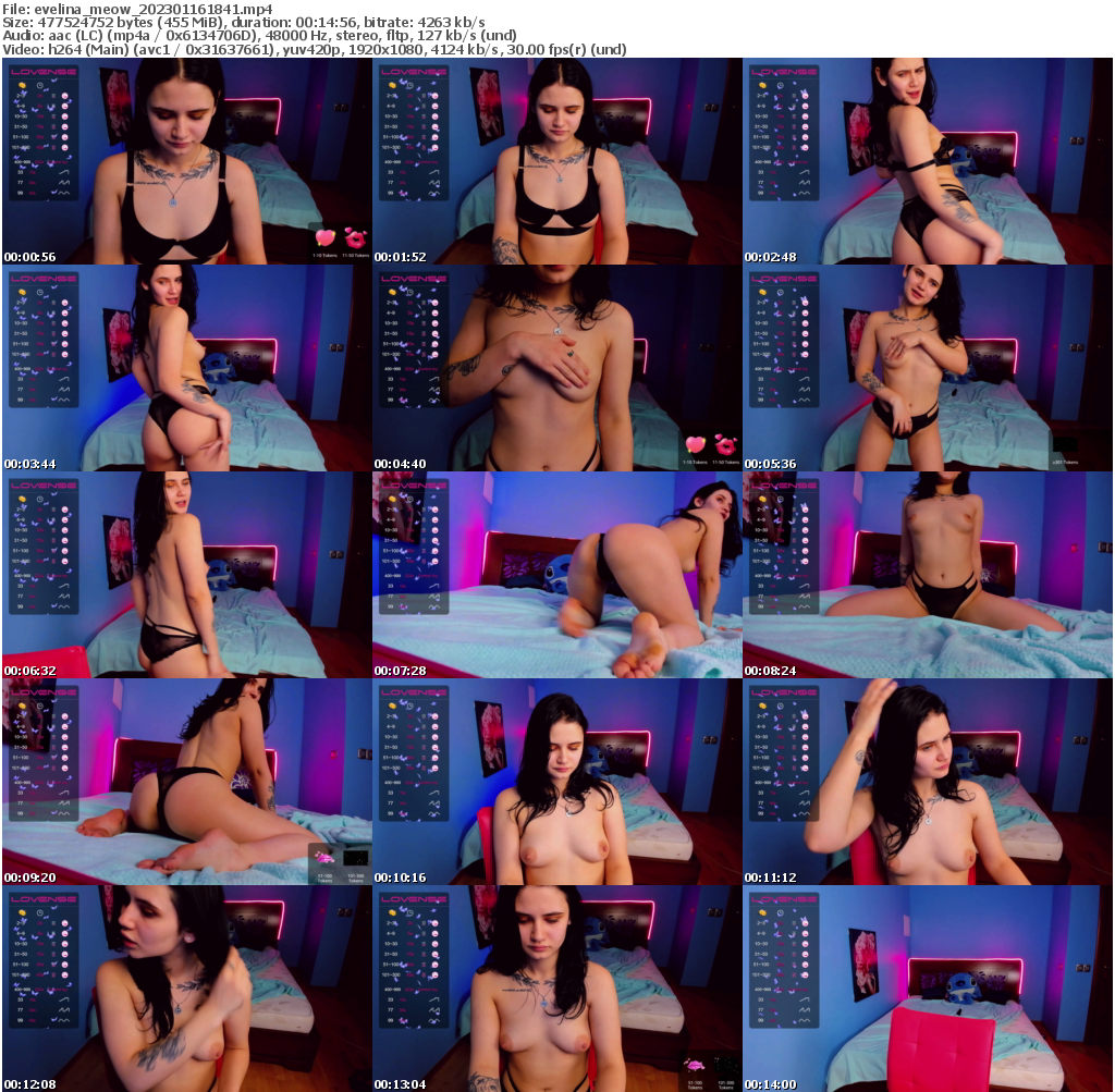 Preview thumb from evelina_meow on 2023-01-16 @ bongacams