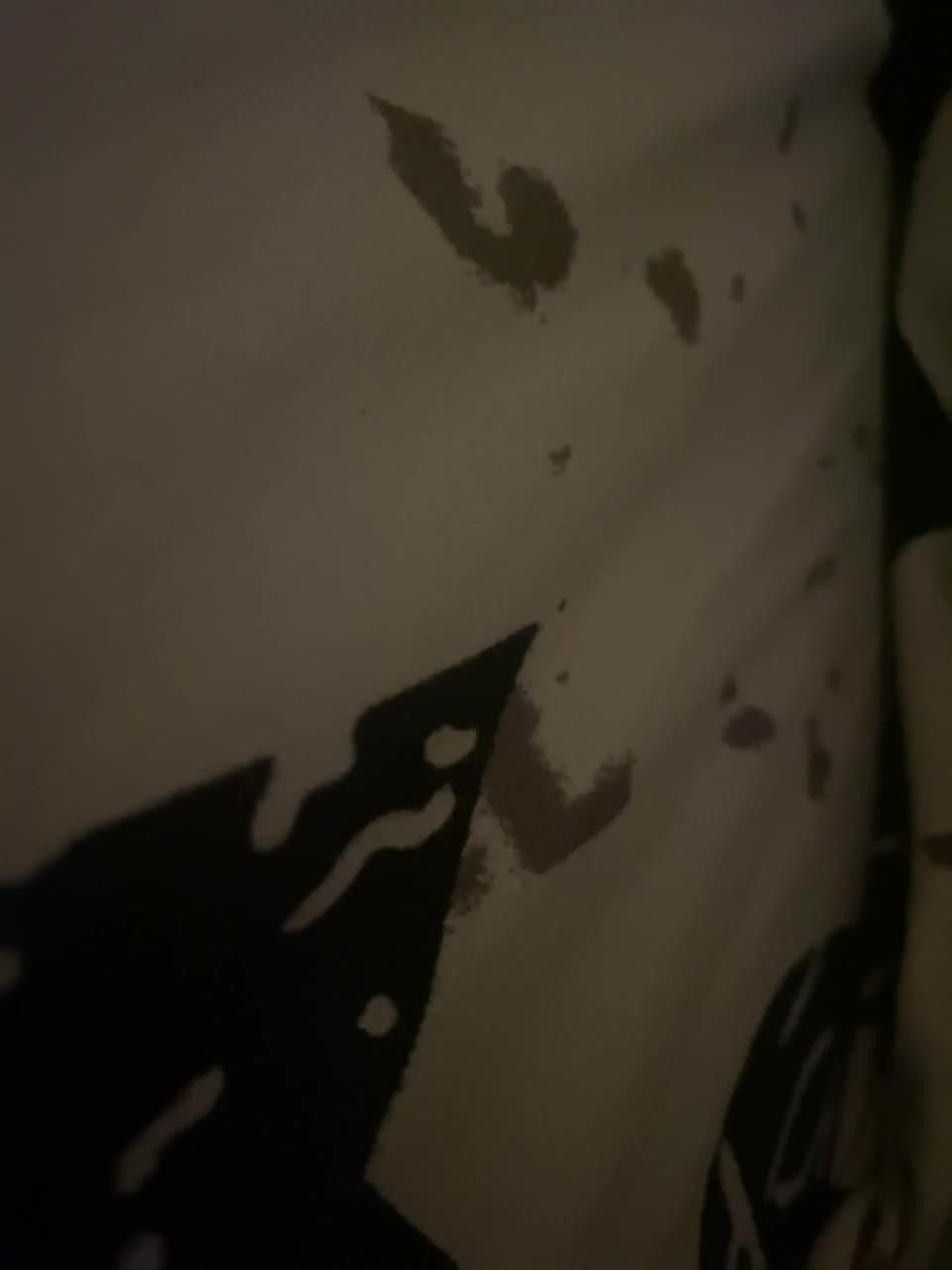 View or download file aloeloea on 2023-01-17 from bongacams