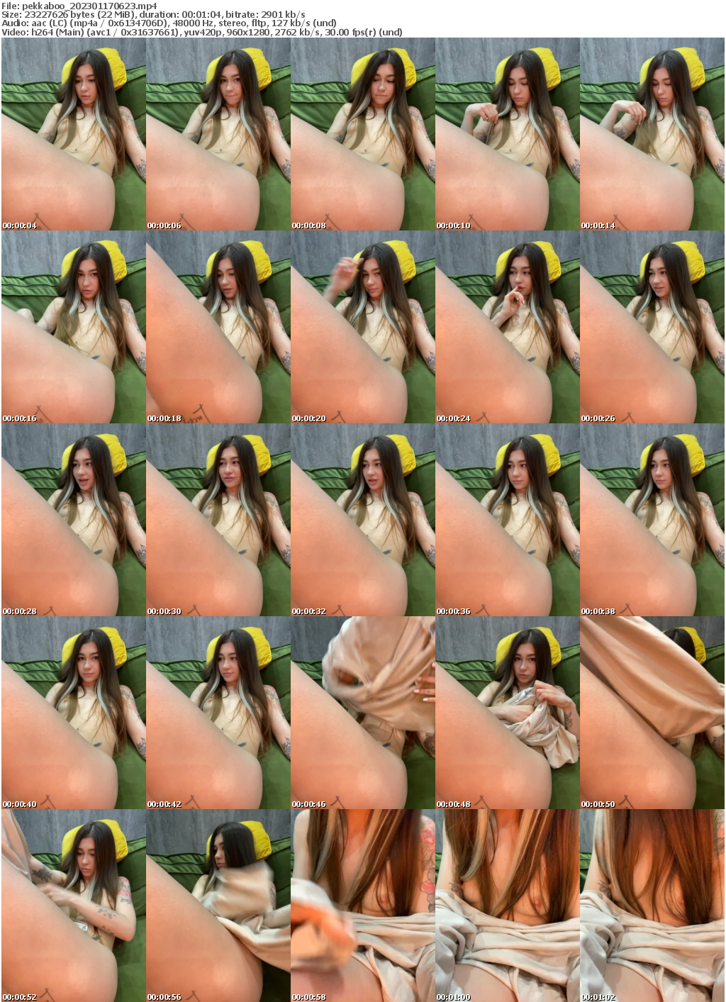 Preview thumb from pekkaboo on 2023-01-17 @ bongacams