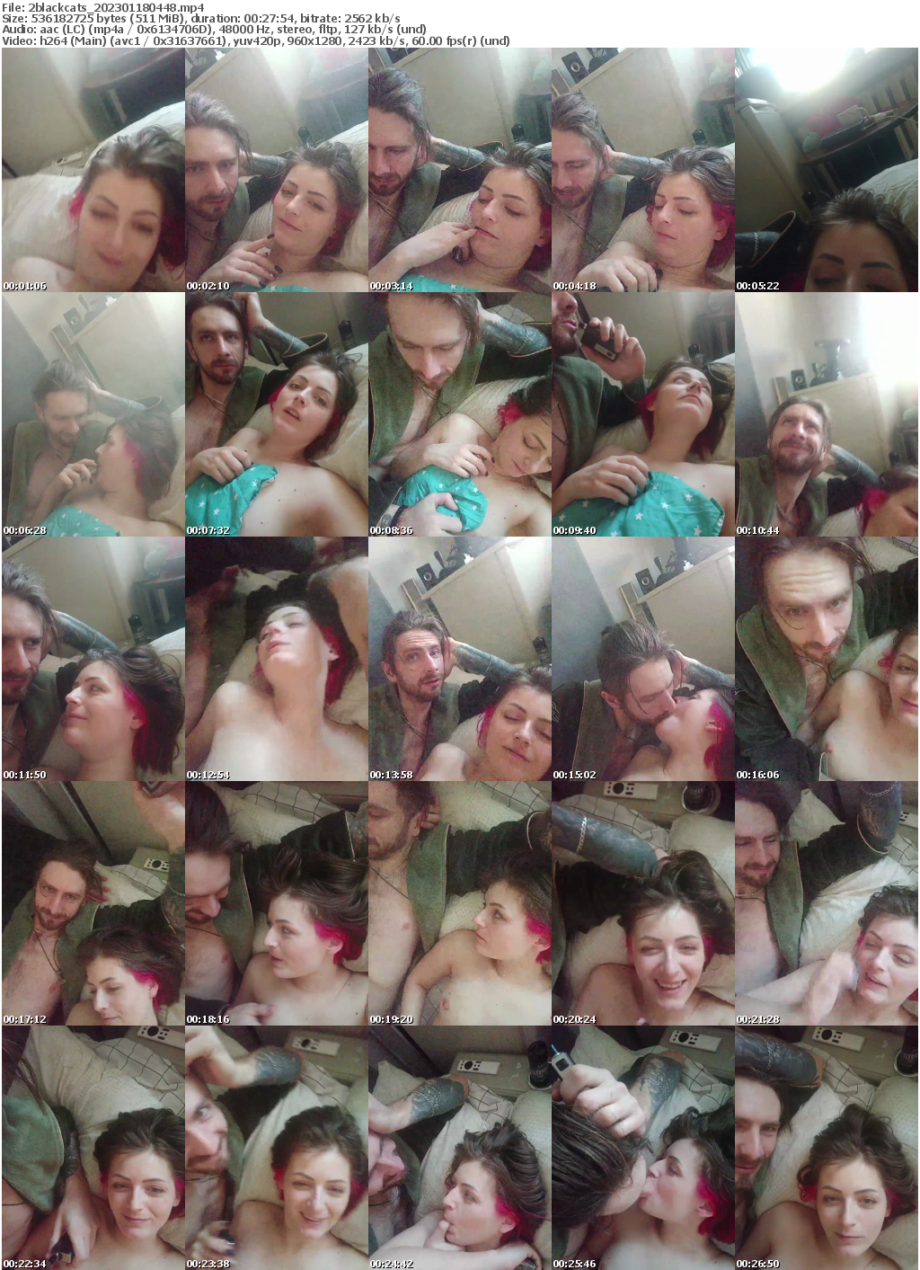 Preview thumb from 2blackcats on 2023-01-18 @ bongacams