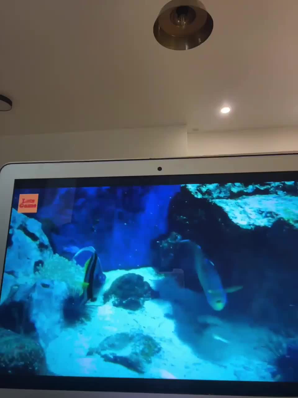 View or download file babysashababy on 2023-01-19 from bongacams