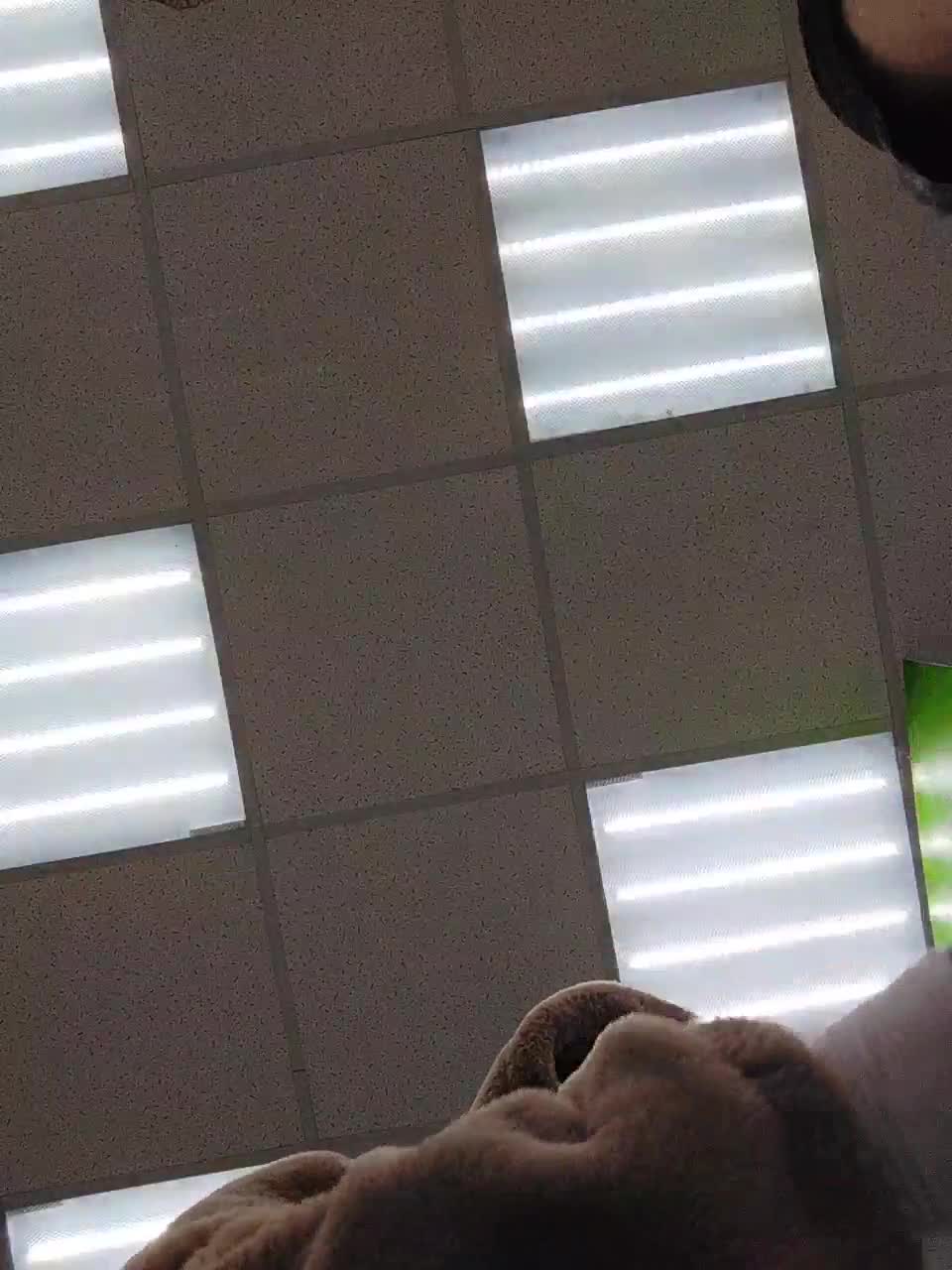 View or download file isabellast on 2023-01-19 from bongacams