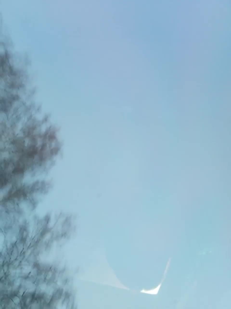 View or download file evaflame on 2023-01-21 from bongacams