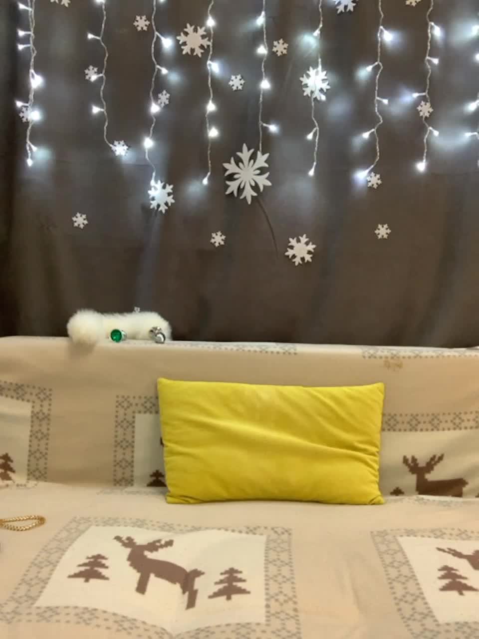 View or download file mispopi on 2023-01-21 from bongacams