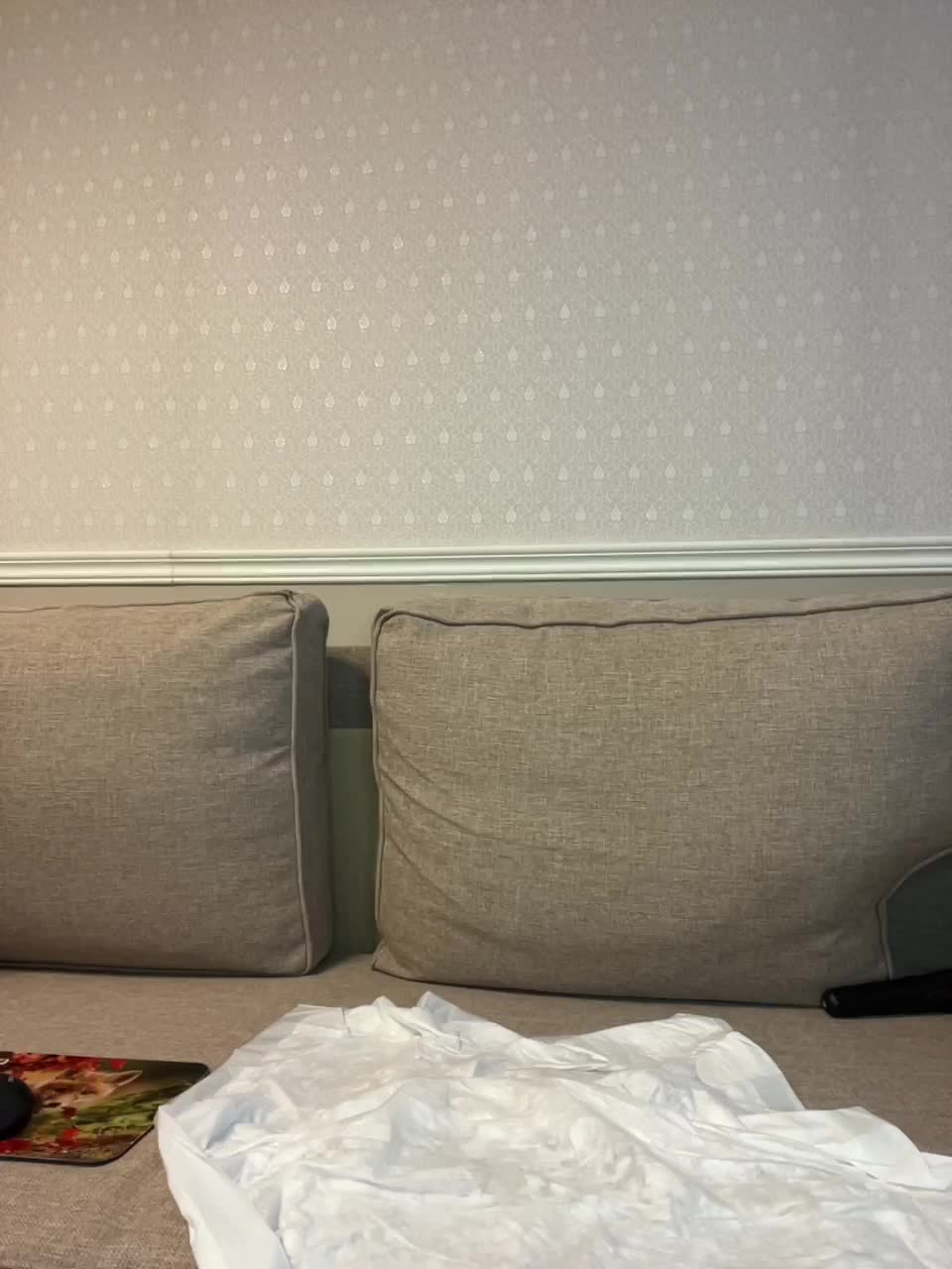 View or download file stella888 on 2023-01-22 from bongacams