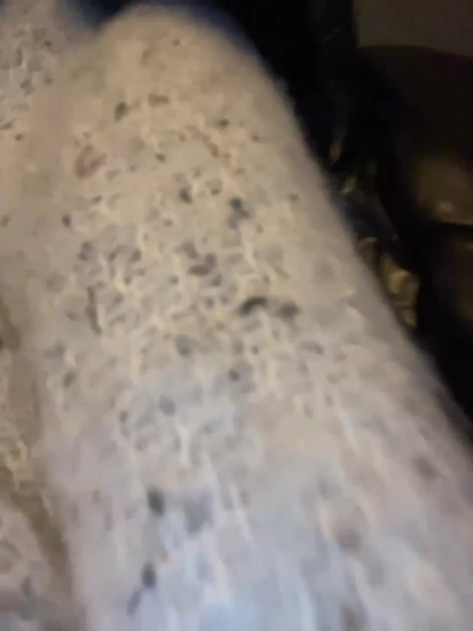 View or download file izzi69 on 2023-01-23 from bongacams