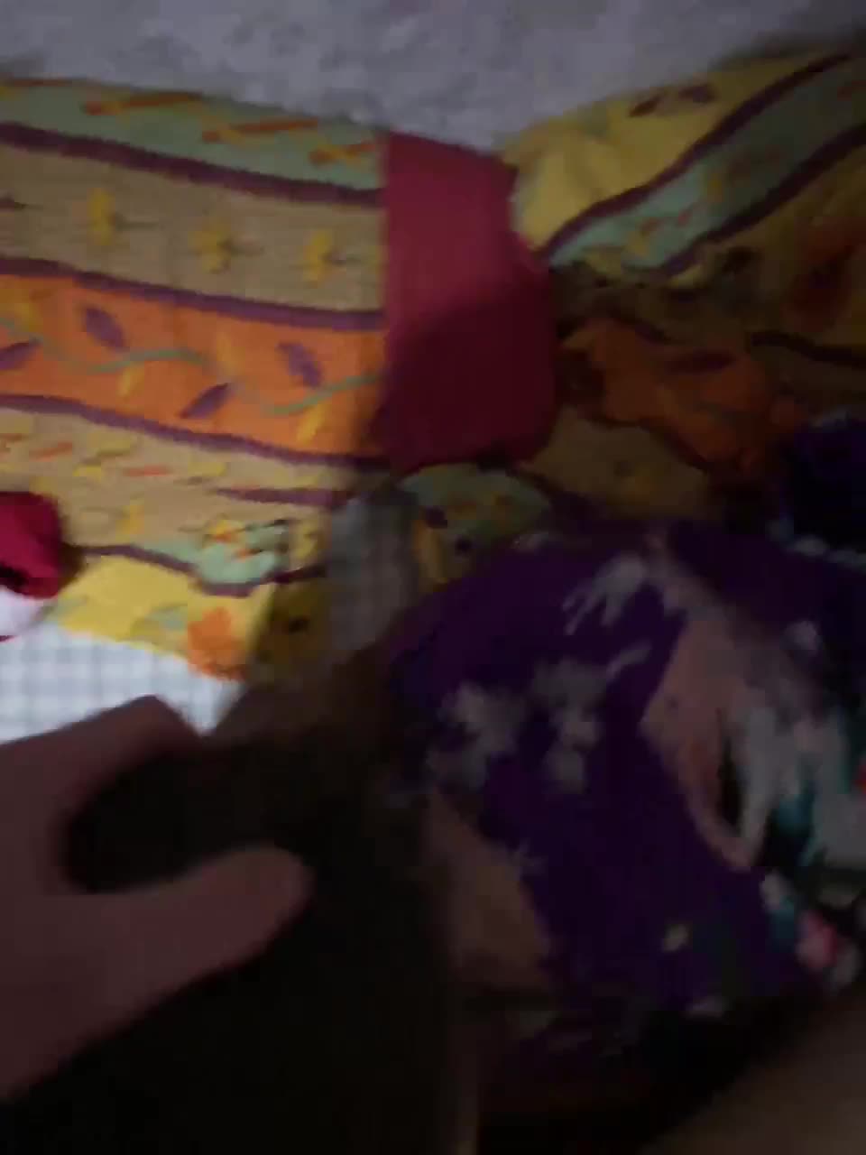 View or download file sexpara2022lo on 2023-01-23 from bongacams