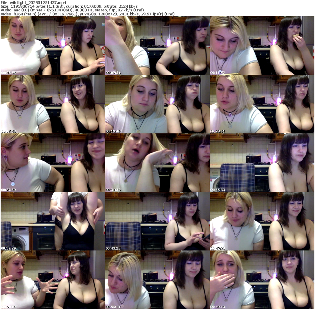 Preview thumb from wildlight on 2023-01-25 @ bongacams