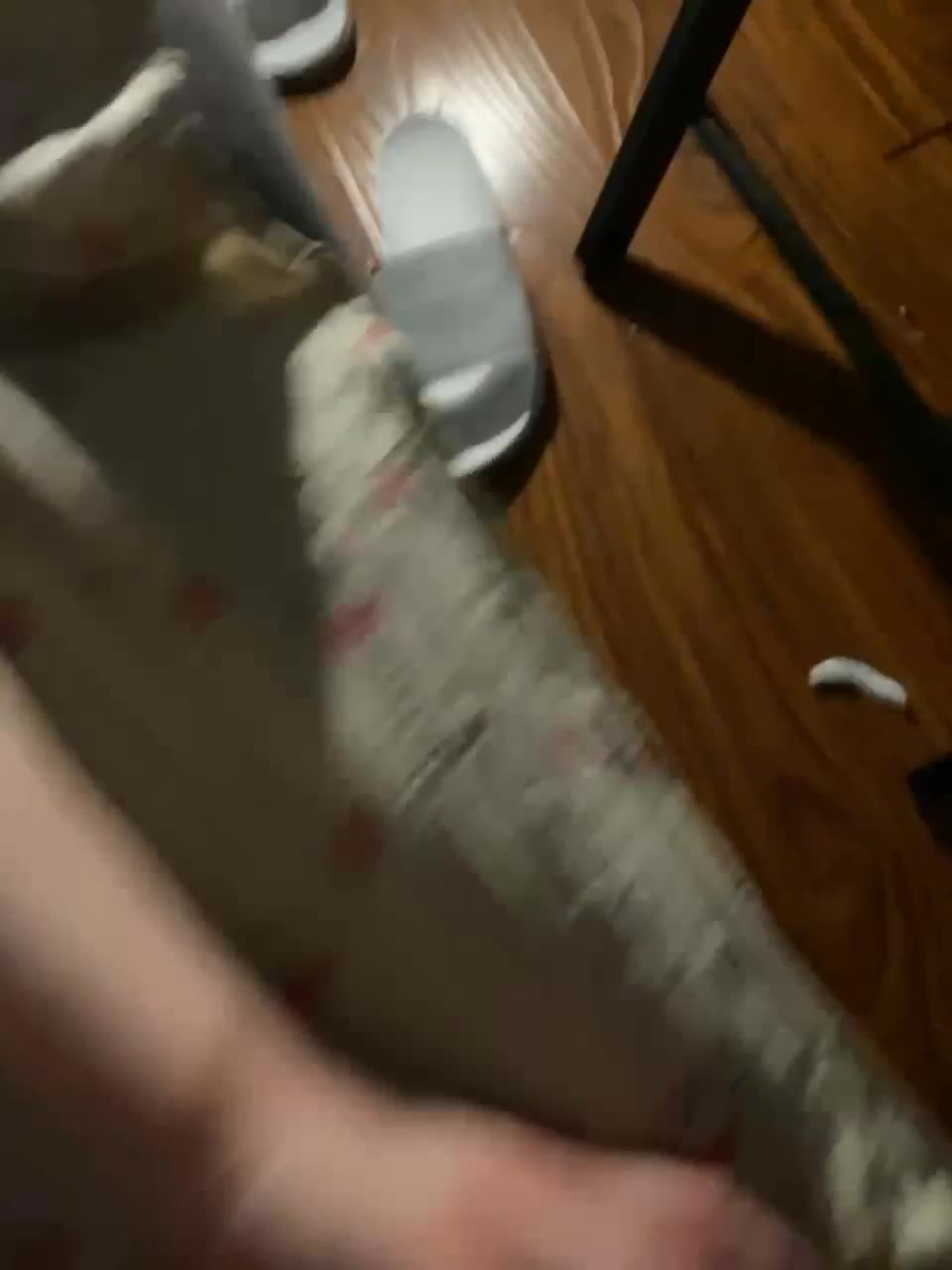 View or download file ggghkffff on 2023-01-28 from bongacams