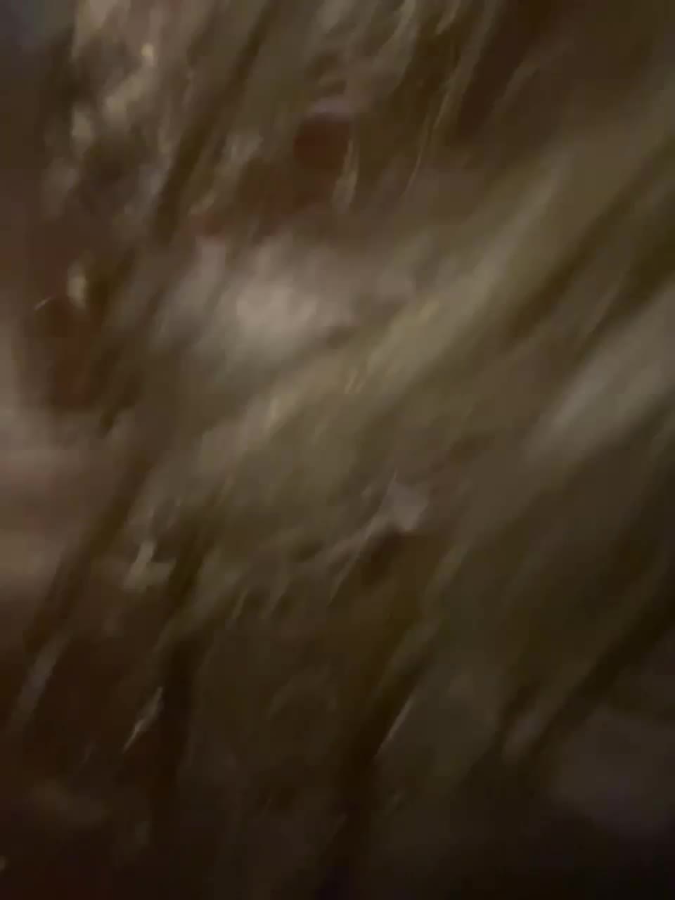 View or download file ggghkffff on 2023-01-29 from bongacams