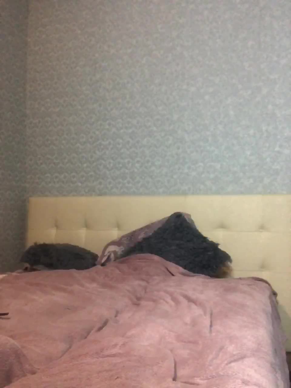 View or download file l4dycandy on 2023-01-29 from bongacams