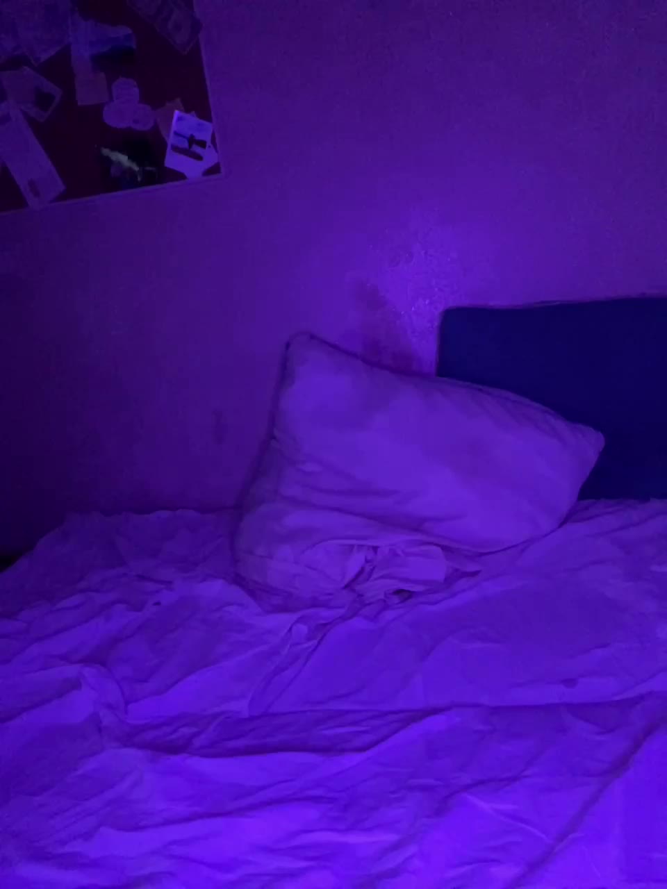 View or download file irasolosex on 2023-01-31 from bongacams