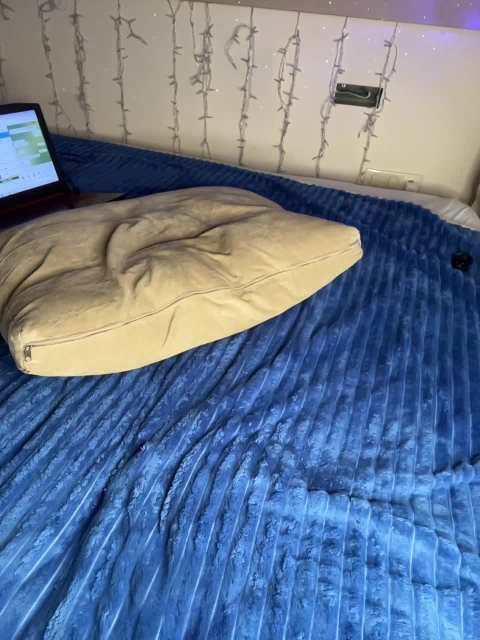 View or download file bloomjuliette on 2023-02-02 from bongacams