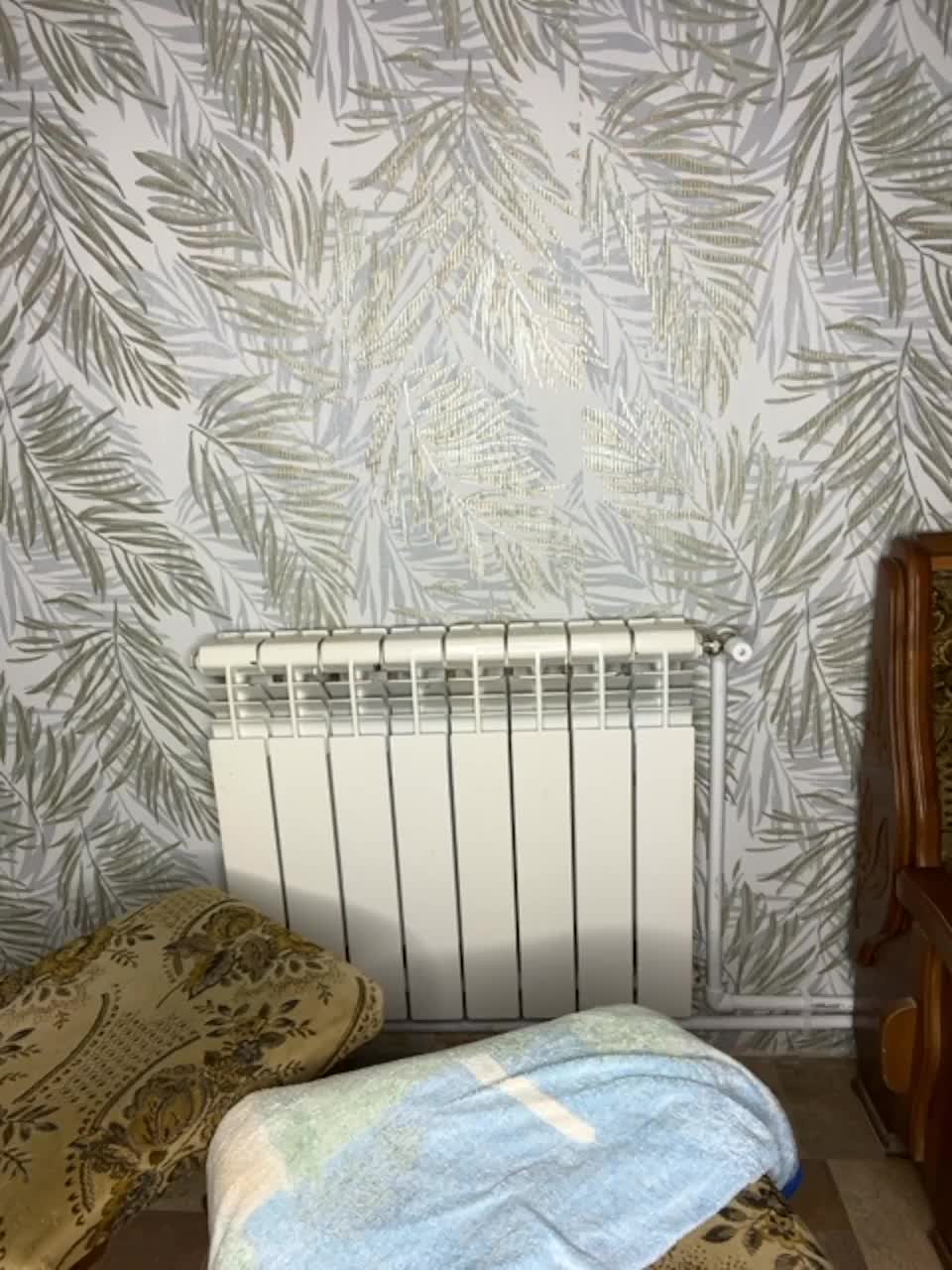 View or download file dandimilk on 2023-02-08 from bongacams