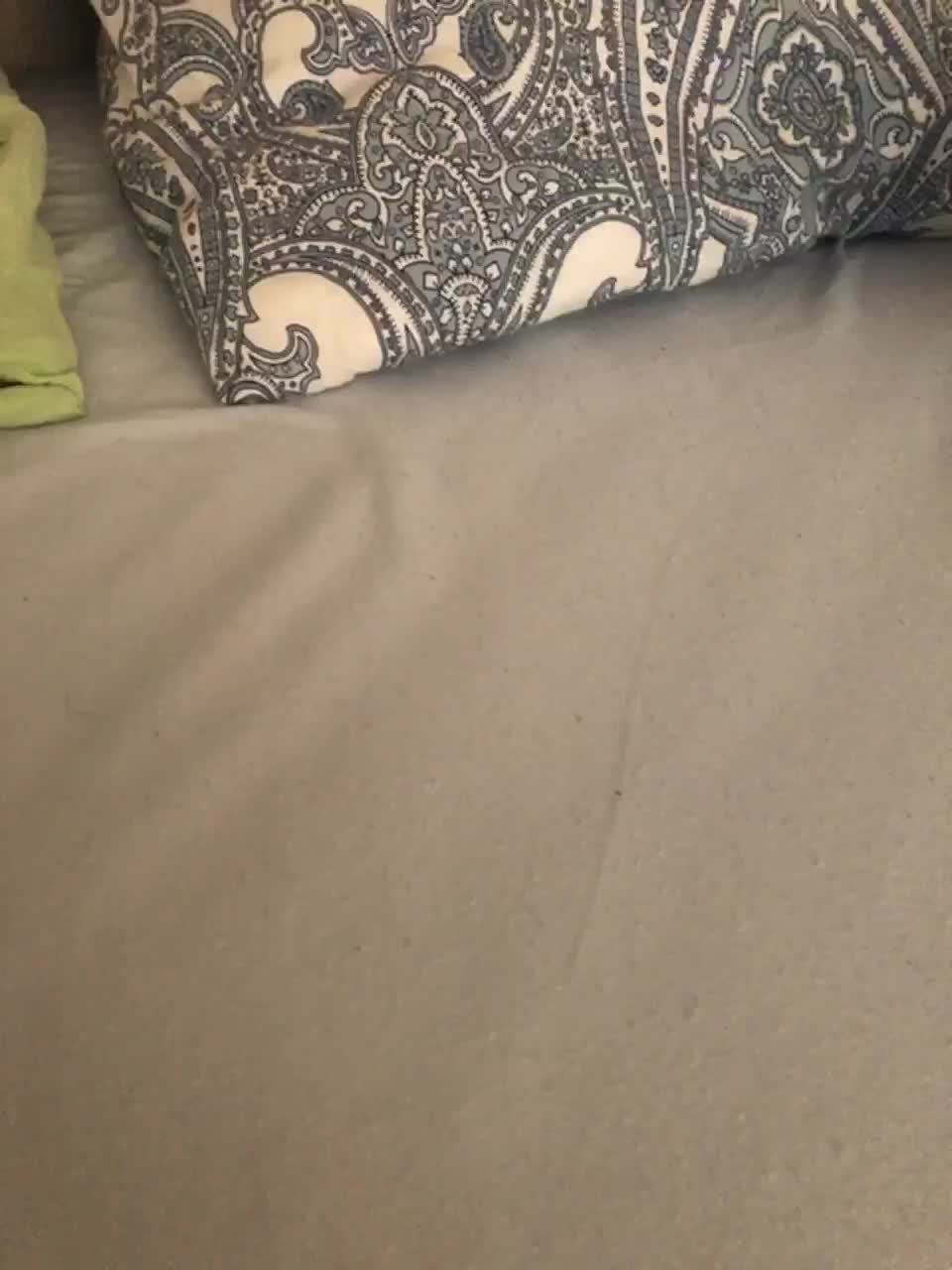 View or download file samkasamtca on 2023-02-08 from bongacams