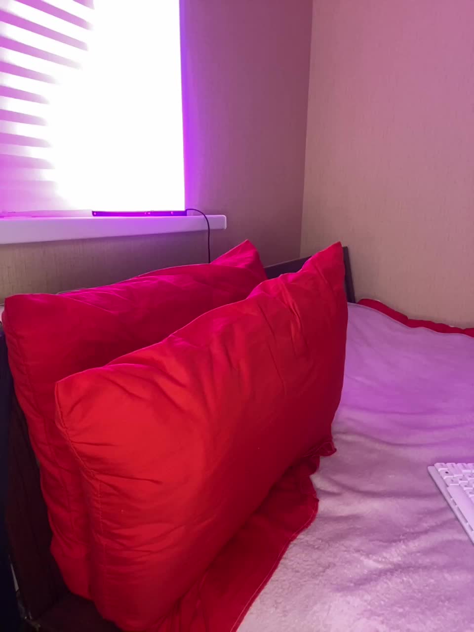 View or download file sweetymia on 2023-02-08 from bongacams