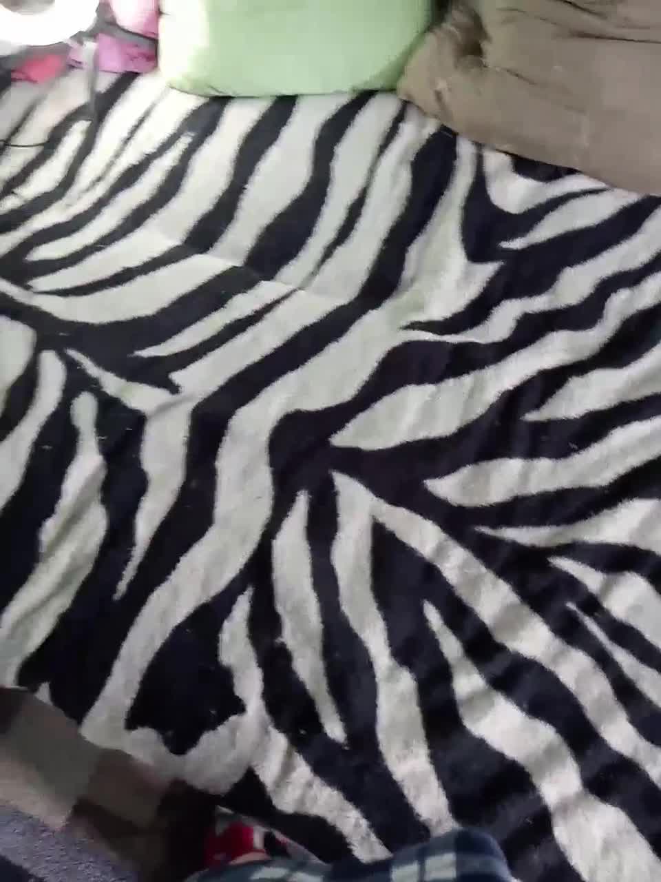 View or download file ingwar1812 on 2023-02-10 from bongacams