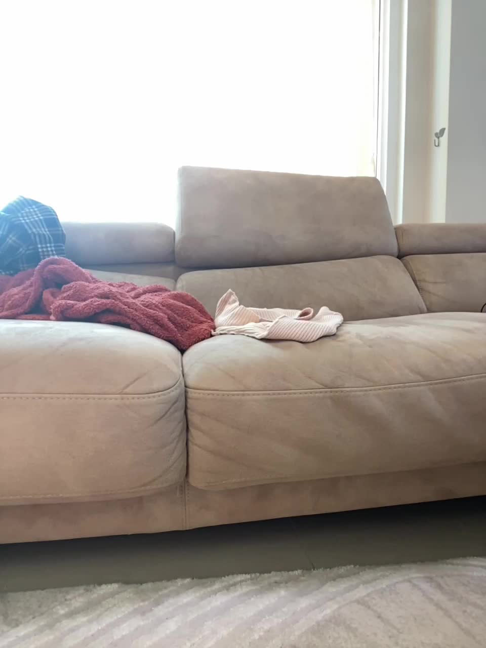 View or download file orgazmia on 2023-02-10 from bongacams