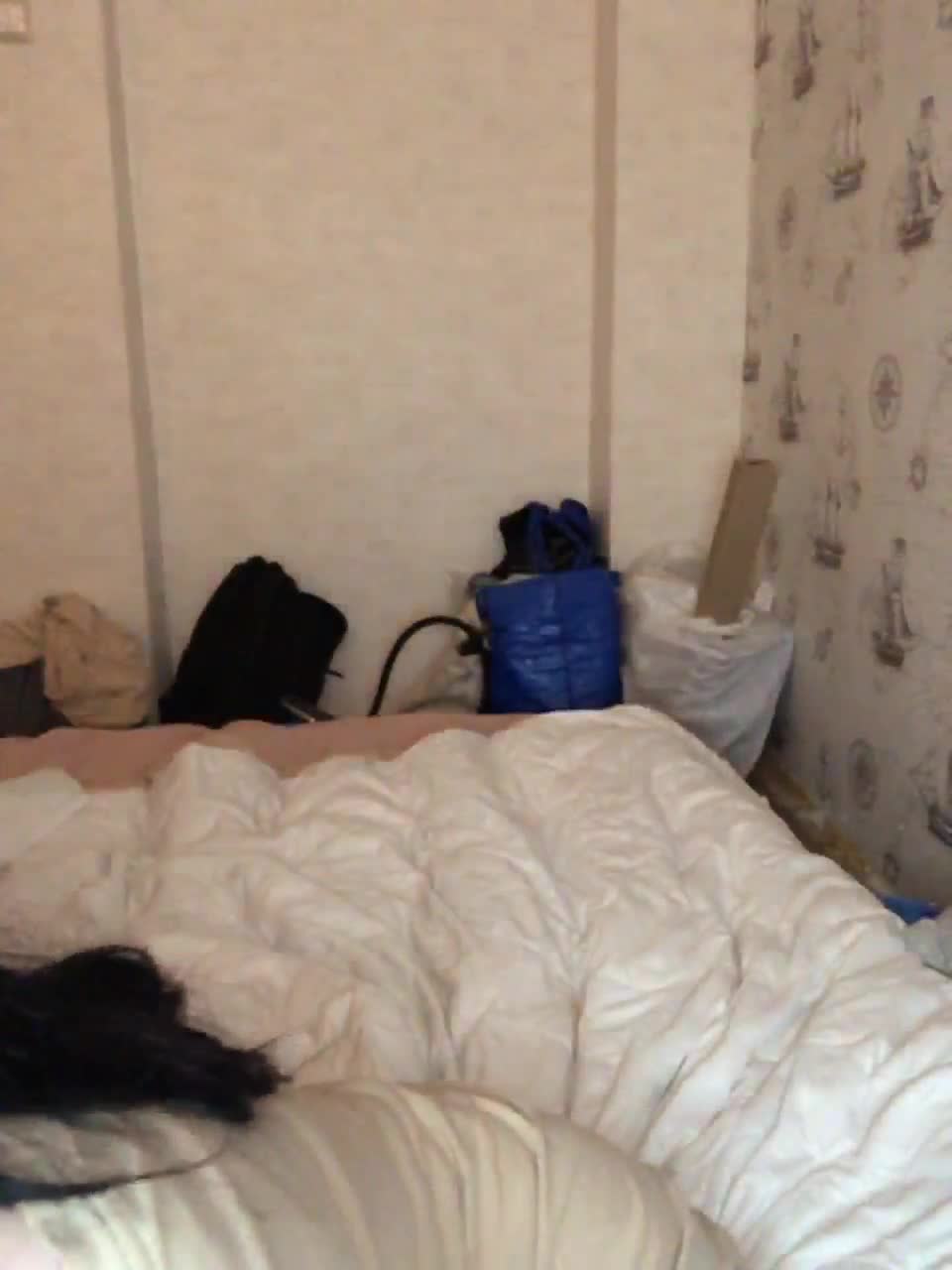 View or download file william_elis on 2023-02-10 from bongacams