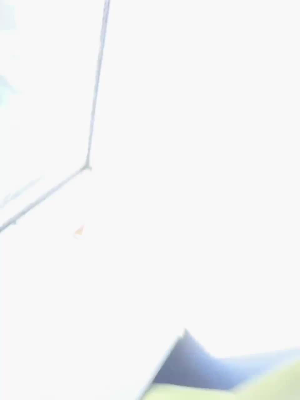 View or download file afinab on 2023-02-12 from bongacams