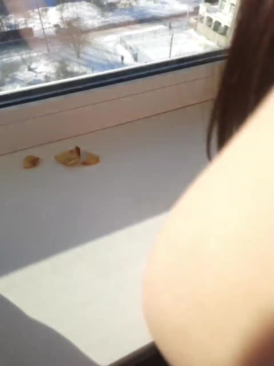 View or download file pabloandnusha on 2023-02-12 from bongacams