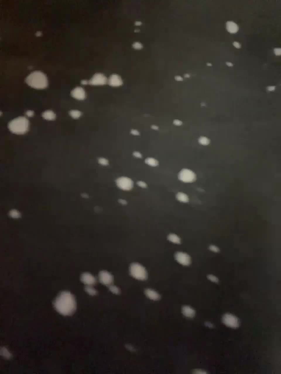 View or download file varadderoo on 2023-02-12 from bongacams