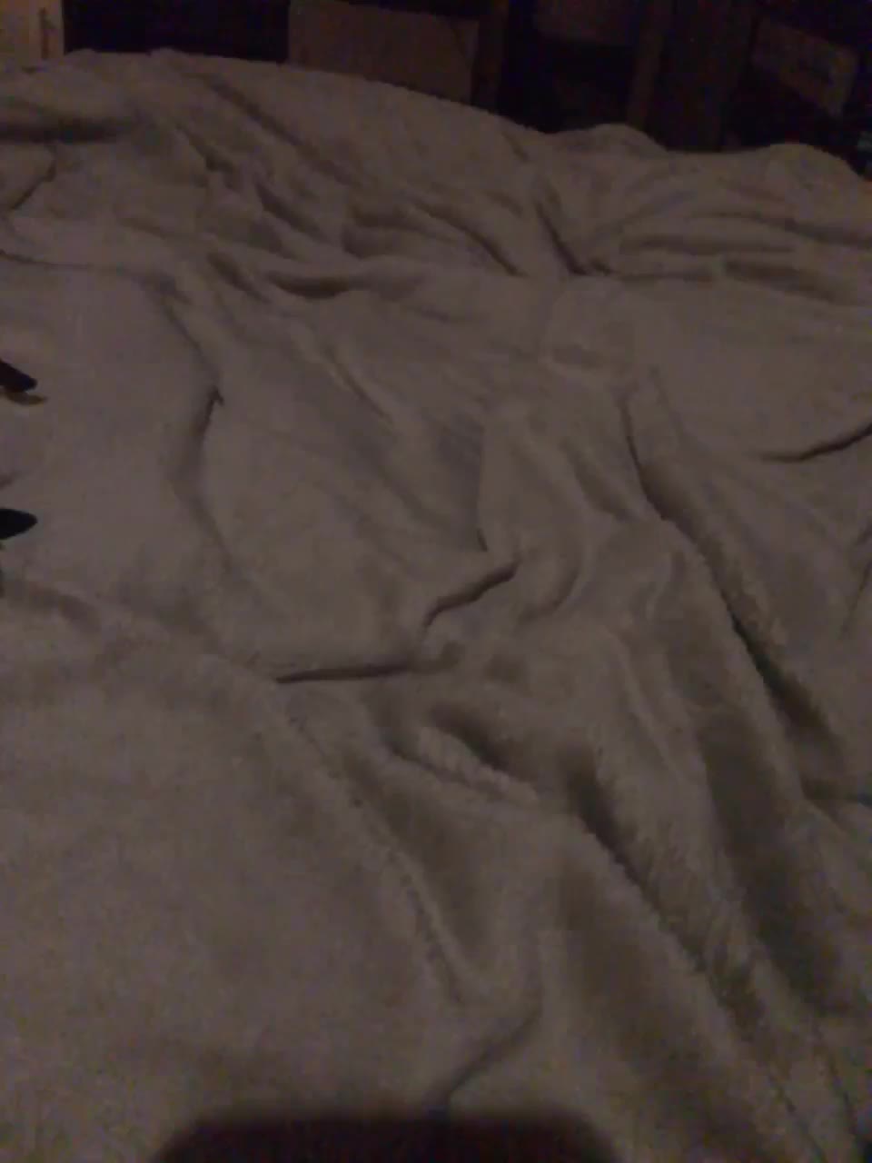 View or download file maikl69mila1 on 2023-02-13 from bongacams