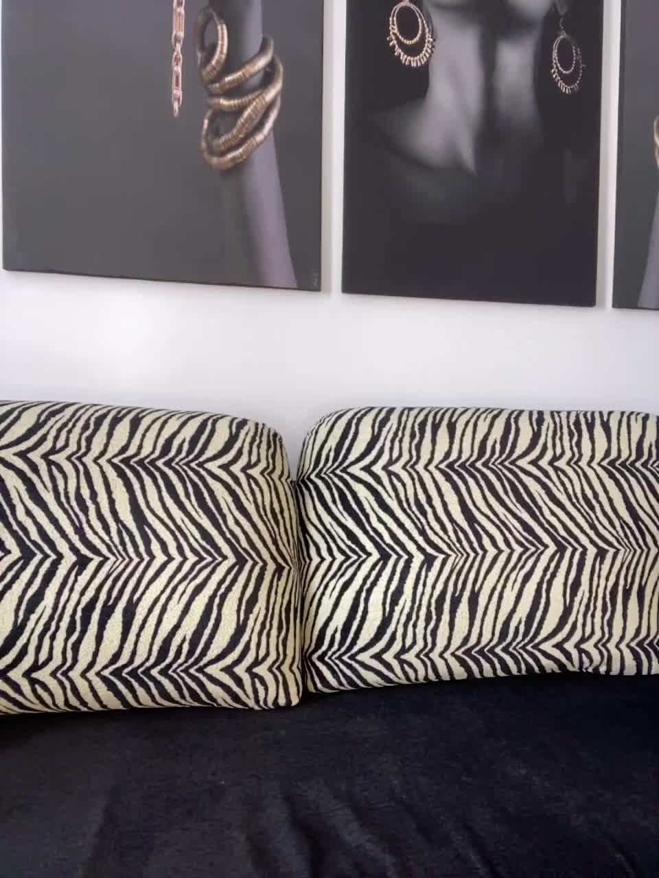 View or download file dark_willow on 2023-02-15 from bongacams