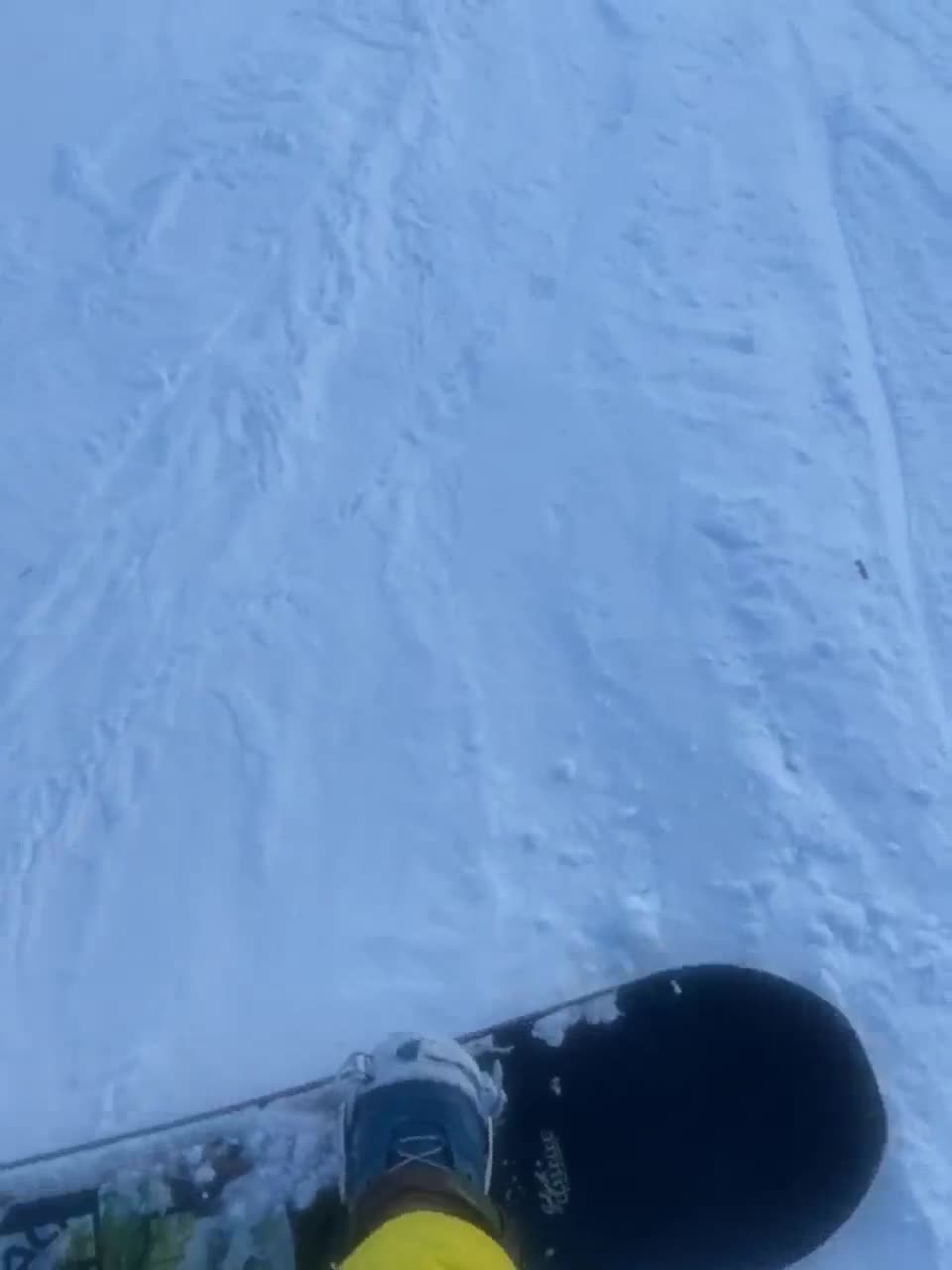 View or download file honeypussixxx on 2023-02-18 from bongacams