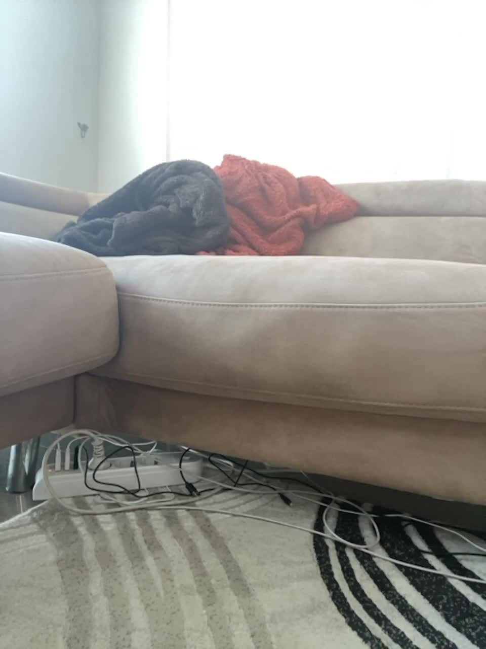 View or download file orgazmia on 2023-02-18 from bongacams