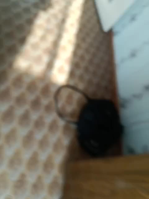 View or download file pusymanmega on 2023-02-19 from bongacams