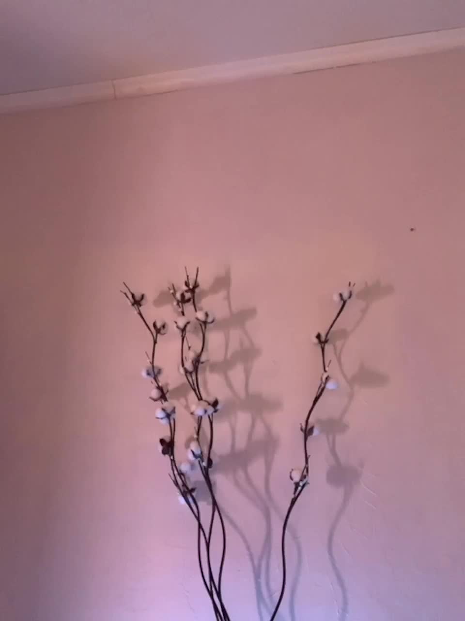 View or download file shawty420 on 2023-02-19 from bongacams