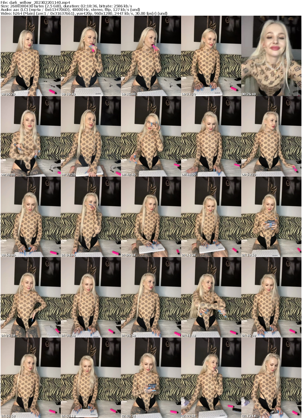 Preview thumb from dark_willow on 2023-02-20 @ bongacams