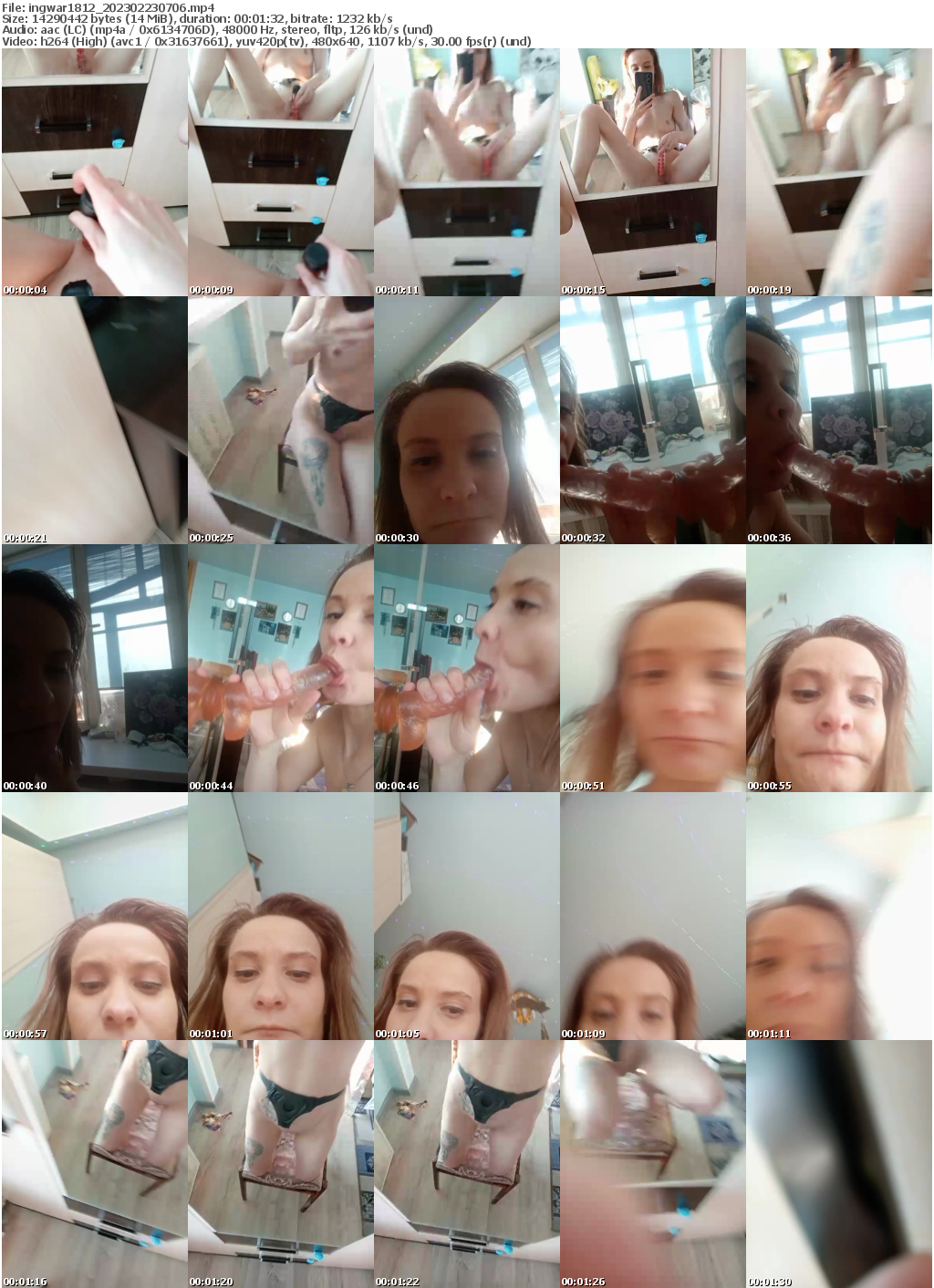 Preview thumb from ingwar1812 on 2023-02-23 @ bongacams