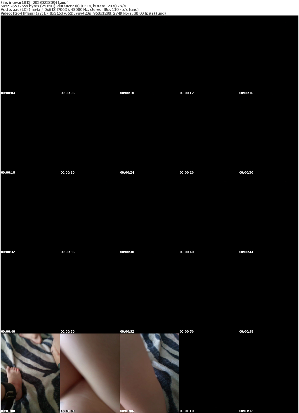 Preview thumb from ingwar1812 on 2023-02-23 @ bongacams