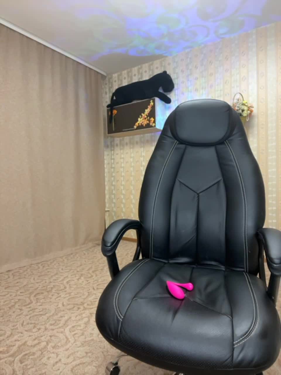 View or download file stella888 on 2023-02-23 from bongacams