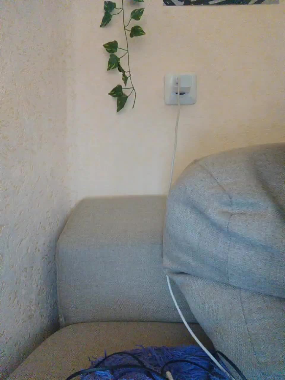 View or download file littledelora on 2023-02-24 from bongacams